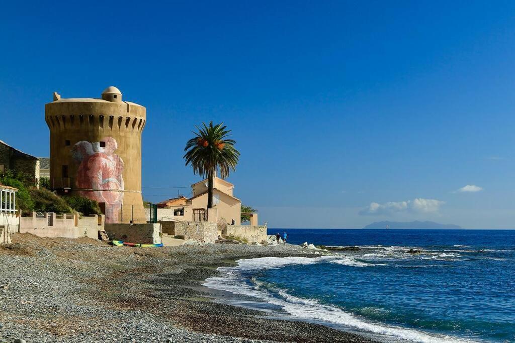 Villa Entierement Renovee Avec Piscine En Plein Coeur De Bastia - Corse Bastia (Corsica)