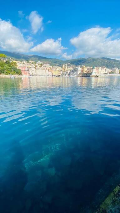 Entierement Renovee Avec Piscine En Plein Coeur De Bastia - Corse *